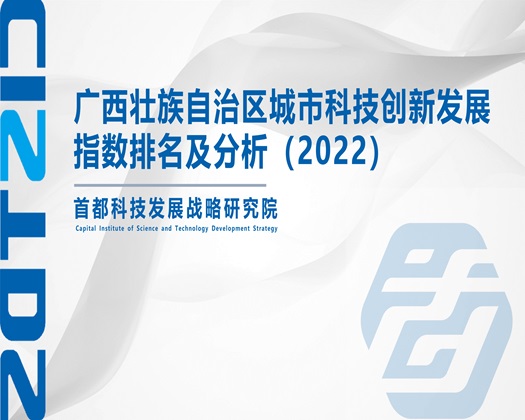 狂操女人大骚逼【成果发布】广西壮族自治区城市科技创新发展指数排名及分析（2022）